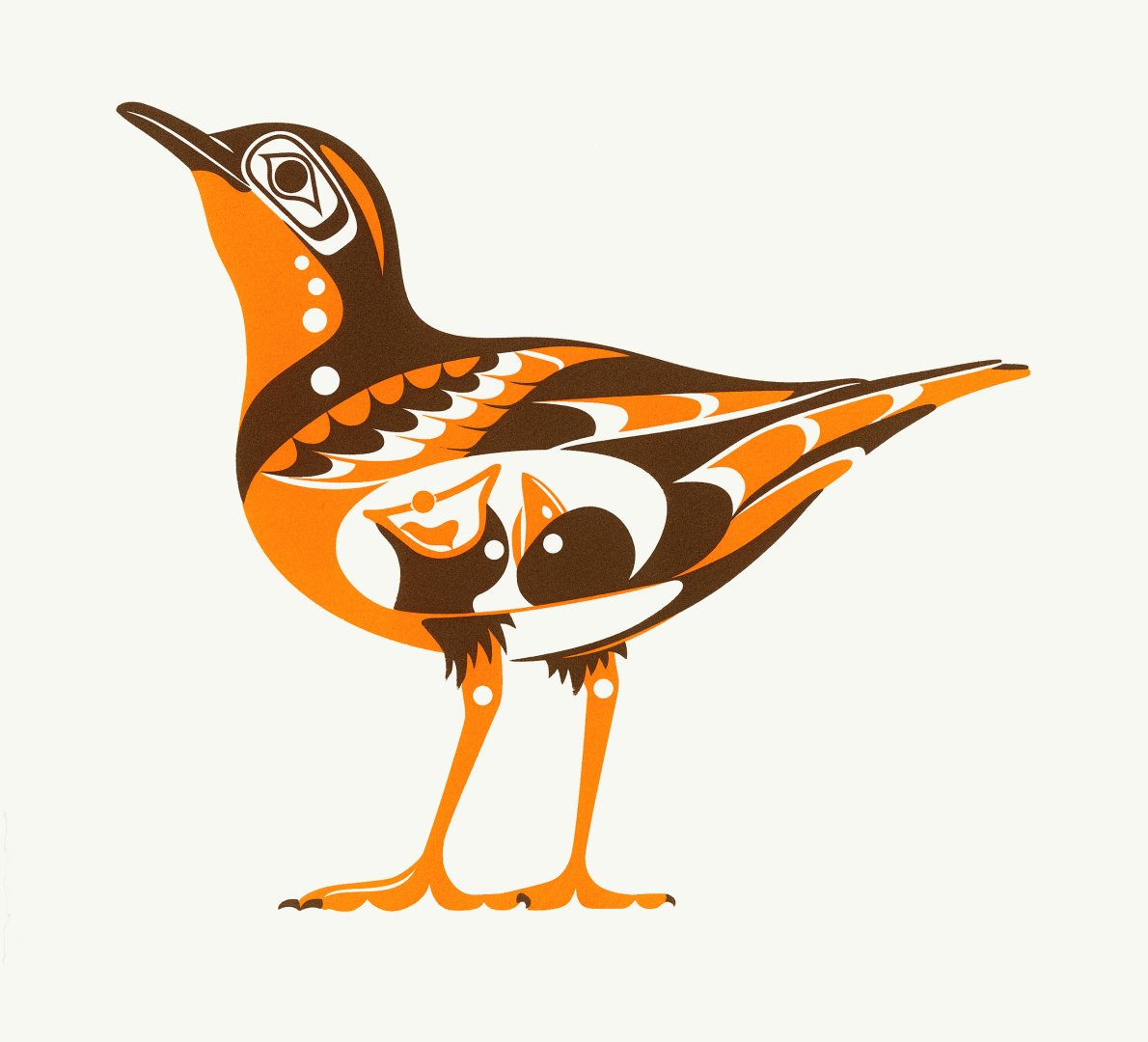 Varied Thrush — T’án