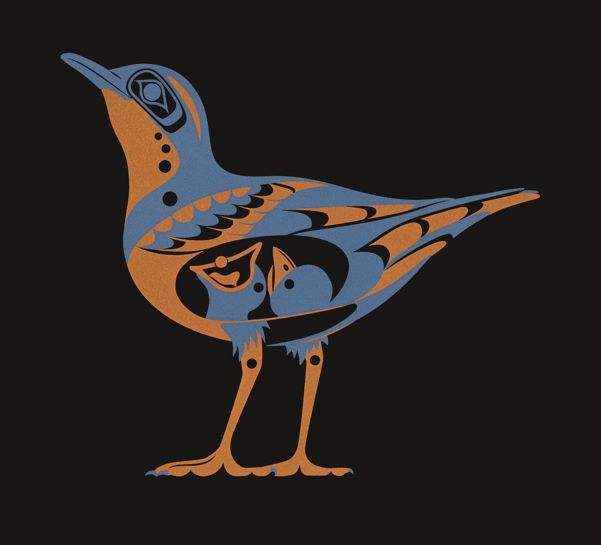 Varied Thrush — T’án